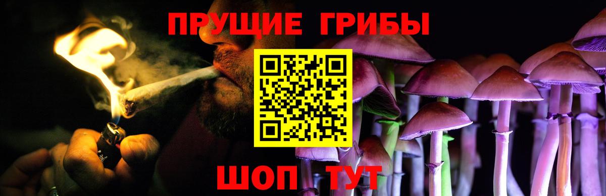 Галлюциногенные грибы Psilocybine cubensis  Псилоцибиновые грибы мухоморы  Михайловск  Вход с VPN 